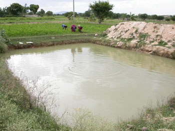 மழைநீர் சேகரிப்பு